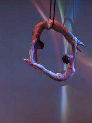 Direction artistique / performers / DJ stars