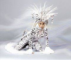Direction artistique / performers / DJ stars