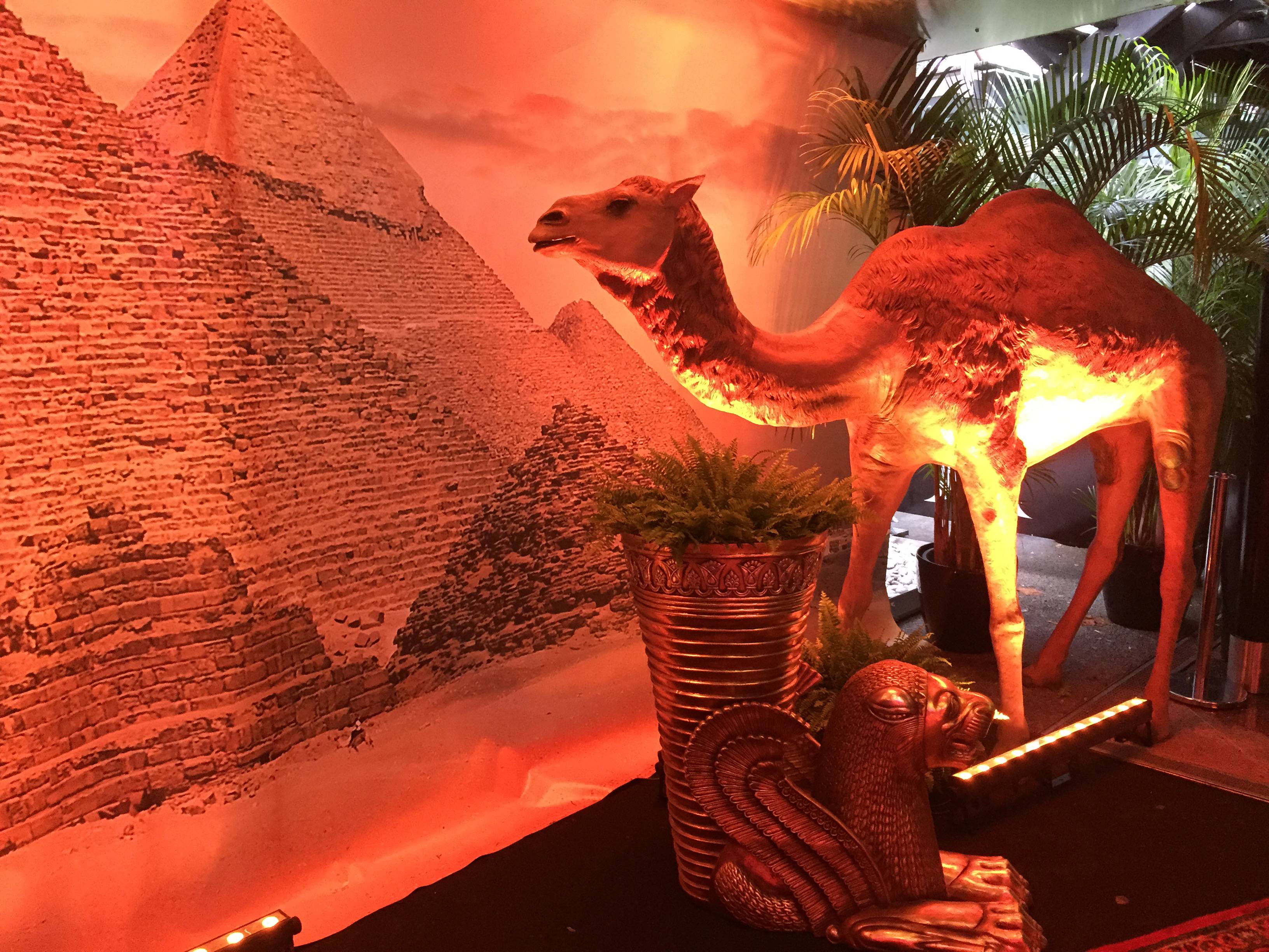 10 ANS CLUB LE JAVA SOIREE EGYPTIEN